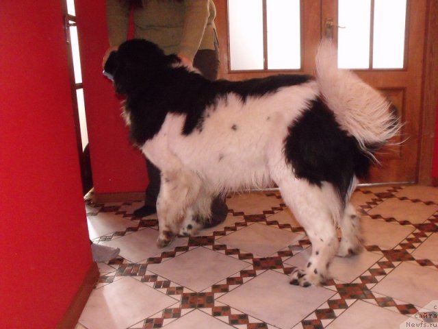 Фотография № 88654