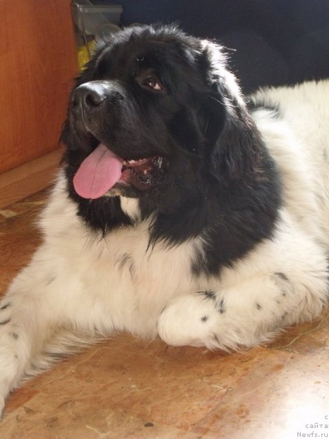 Фотография № 88657