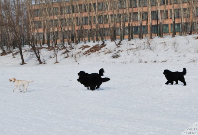 Фотография № 88661