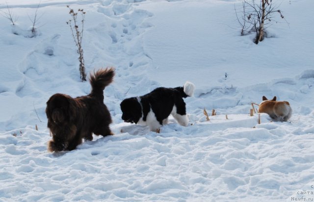 Фотография № 88663