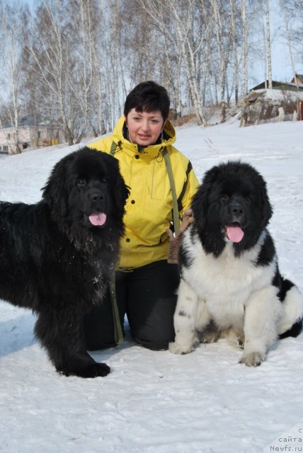 Фотография № 88668