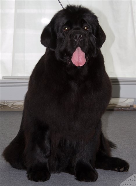 Фотография № 88696