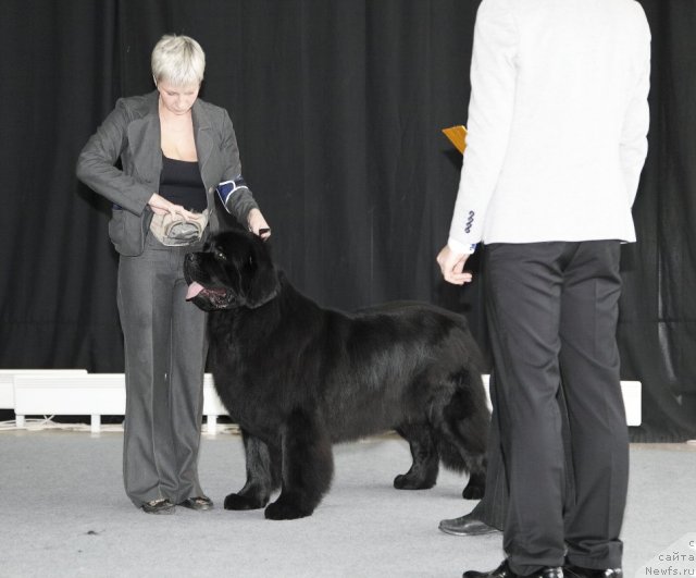 Фотография № 88702