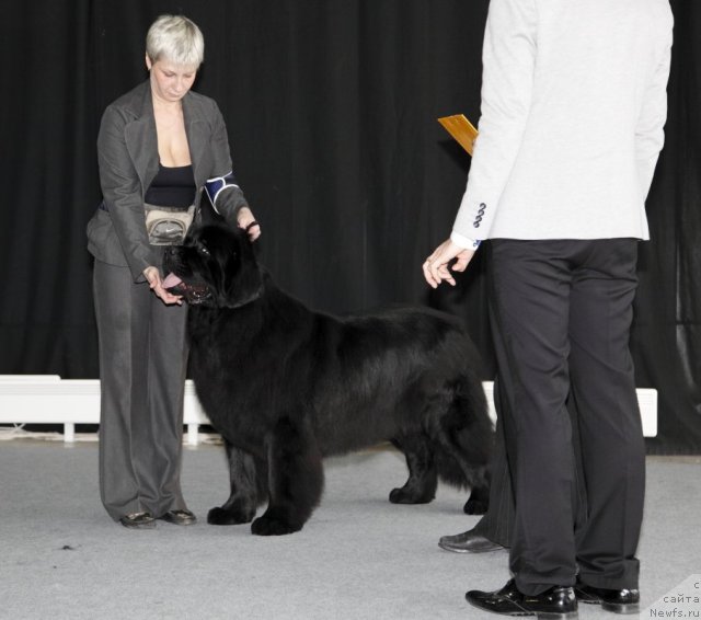 Фотография № 88704