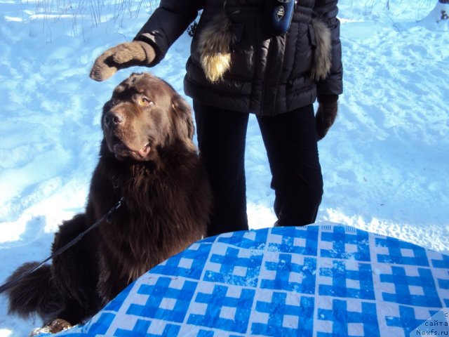 Фотография № 88705