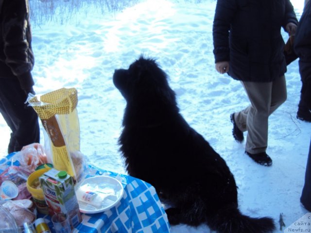 Фотография № 88708