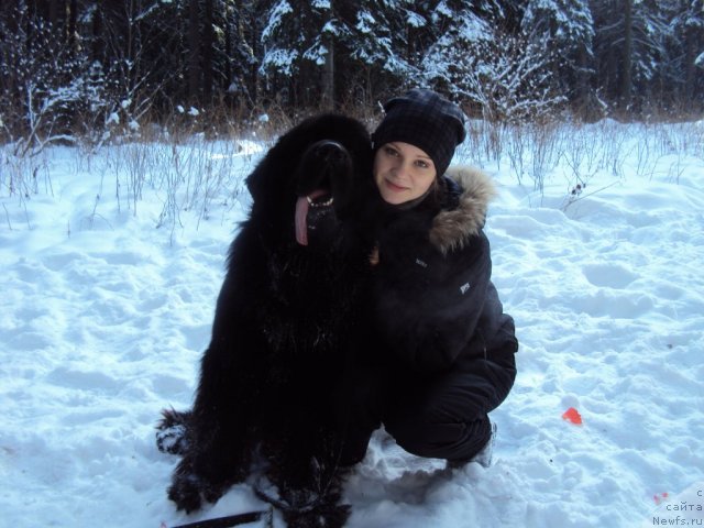 Фотография № 88711