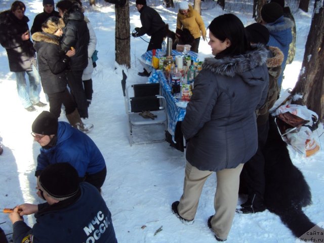 Фотография № 88722