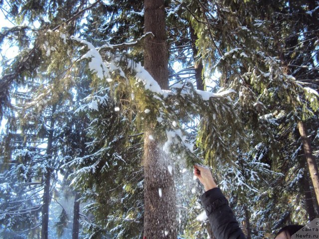 Фотография № 88730