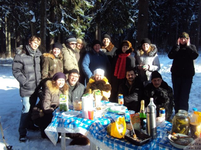 Фотография № 88731