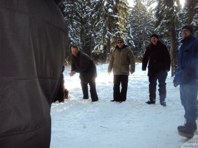 Фотография № 88733