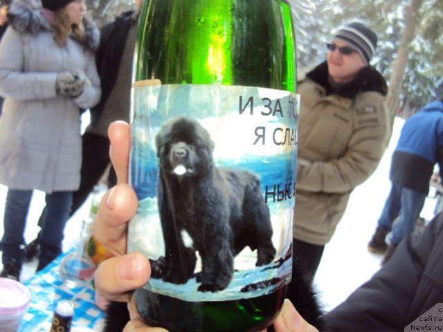 Фотография № 88736