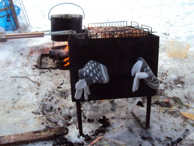 Фотография № 88739