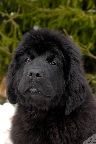 Фотография № 88761