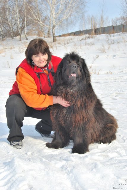 Фотография № 88810