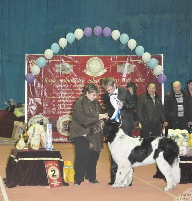 Фотография № 88825