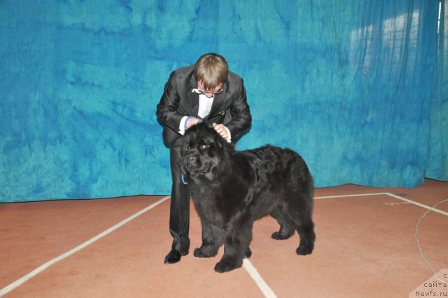 Фотография № 88826