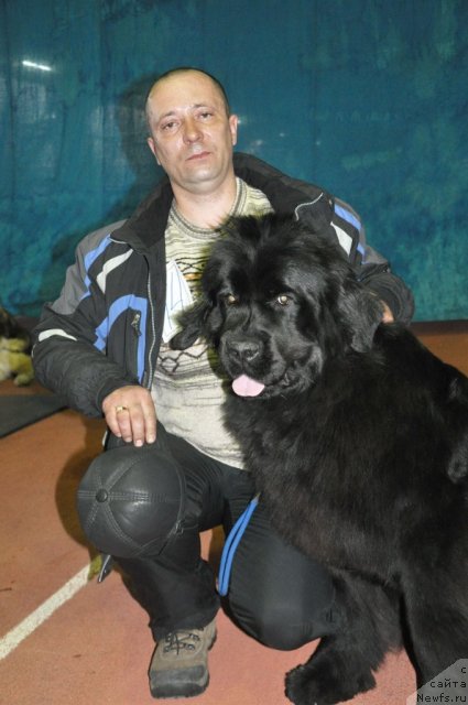 Фотография № 88827