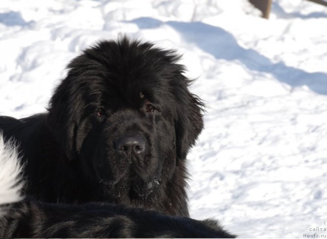 Фотография № 88851