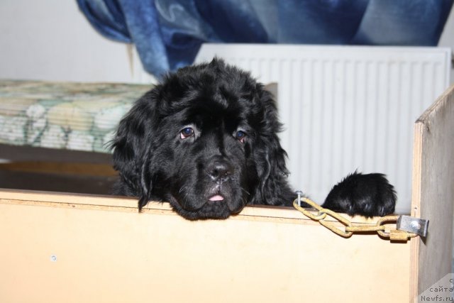 Фотография № 88856