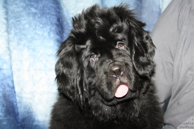 Фотография № 88872