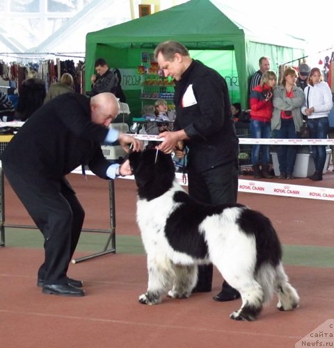 Фотография № 88881