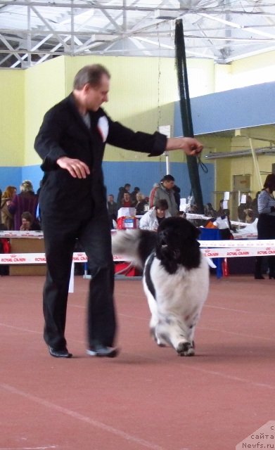 Фотография № 88882