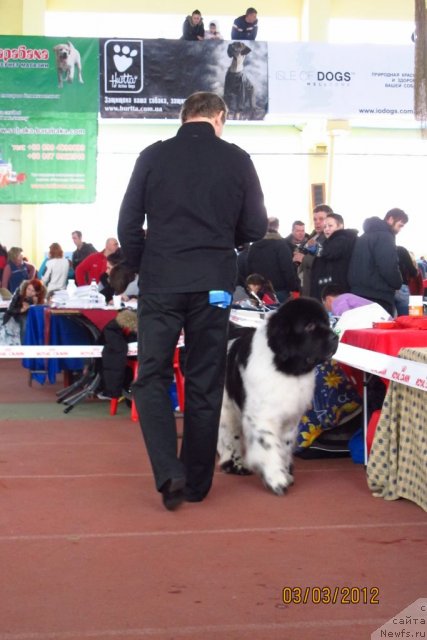 Фотография № 88883