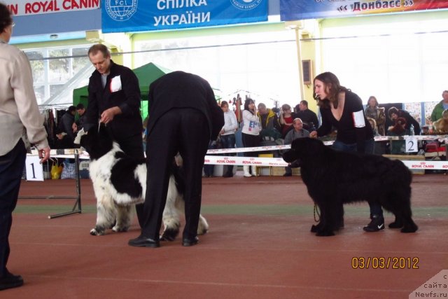 Фотография № 88884