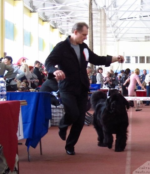 Фотография № 88887