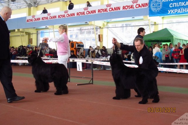 Фотография № 88892