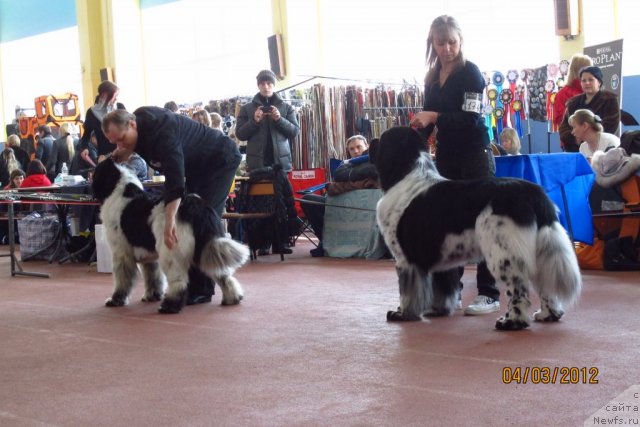 Фотография № 88903