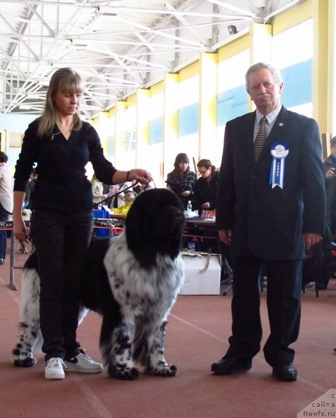 Фотография № 88904