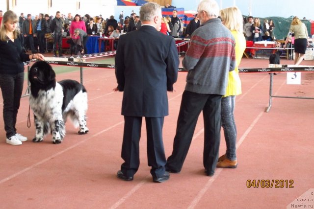 Фотография № 88907