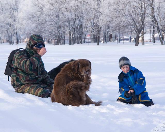 Фотография № 8903