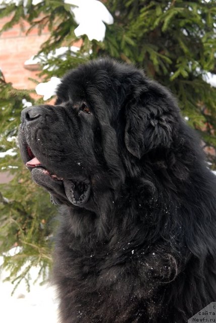 Фотография № 89104