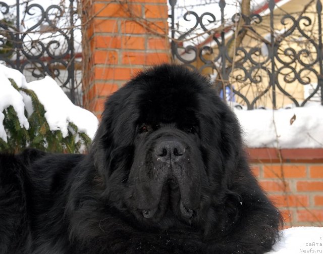 Фотография № 89112