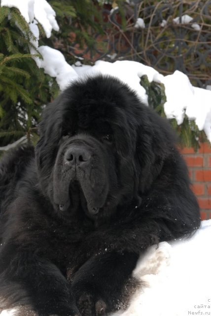 Фотография № 89113