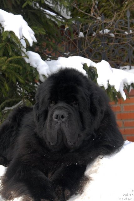 Фотография № 89114