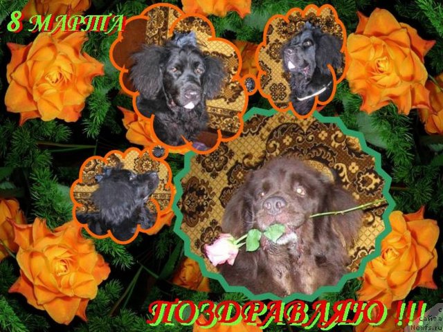 Фотография № 89116