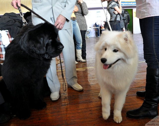 Фотография № 89117