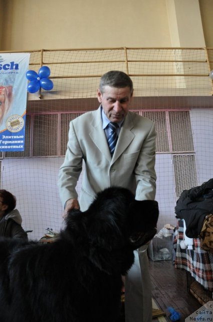 Фотография № 89121