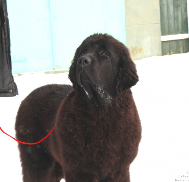 Фотография № 89131