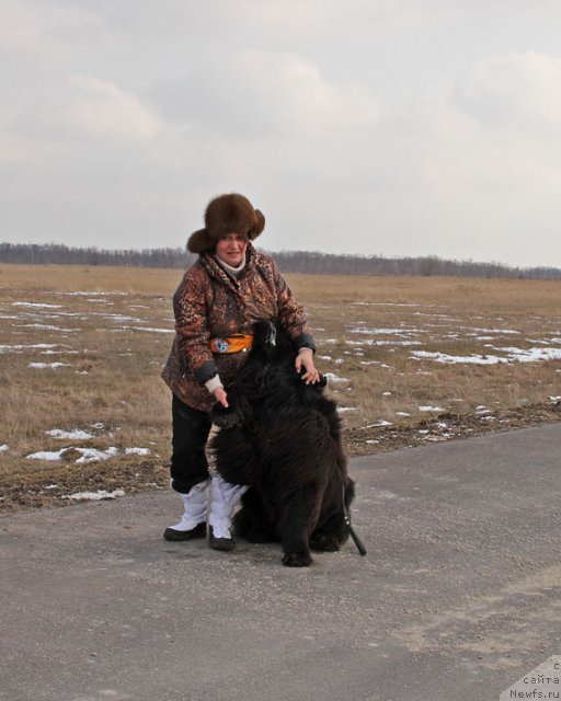 Фотография № 89135