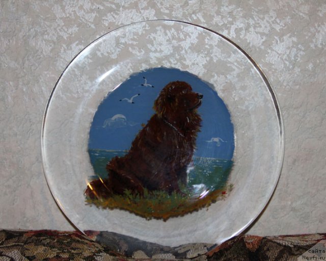 Фотография № 89137