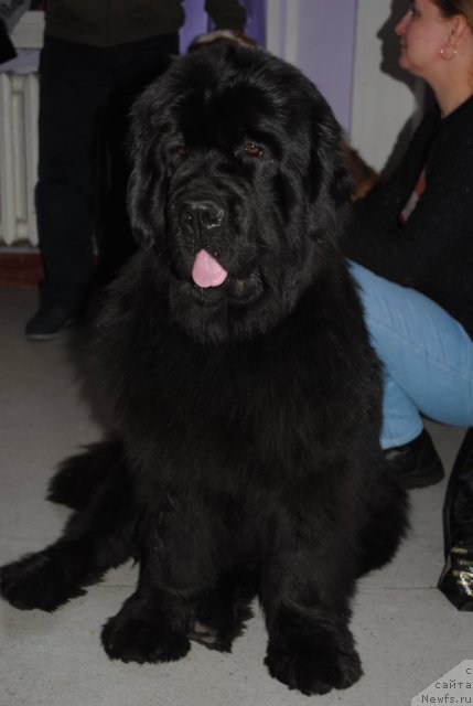 Фотография № 89209