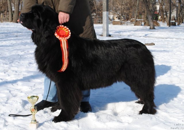 Фотография № 89210