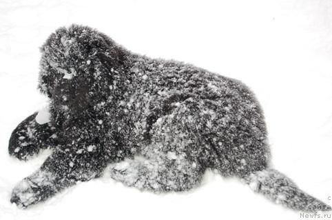 Фотография № 8923