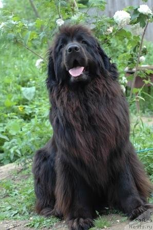 Фотография № 89237