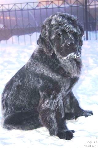 Фотография № 89253